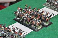 15mm napoleonic / french -