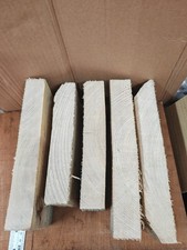 5 Pcs Mixed Size Ash Offcut Wood 2,39 Kg For Woodworking Wood Project Craft Diy
