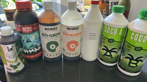 Growing nutrients full starter - growing,