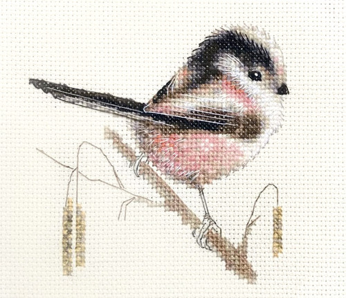 Long tail tit garden bird - garden,