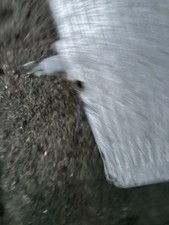 Rover sd1 v8 vitesse plenum