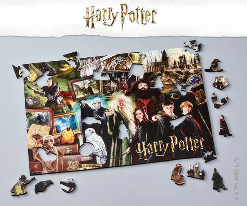 The wizarding world - world,