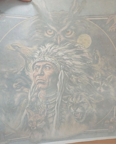 Owl indian fox wolf scene - indian, a3