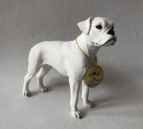 Leonardo white boxer dog - boxer,