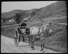 WOMAN DRIVING A PONY AND TRAP
