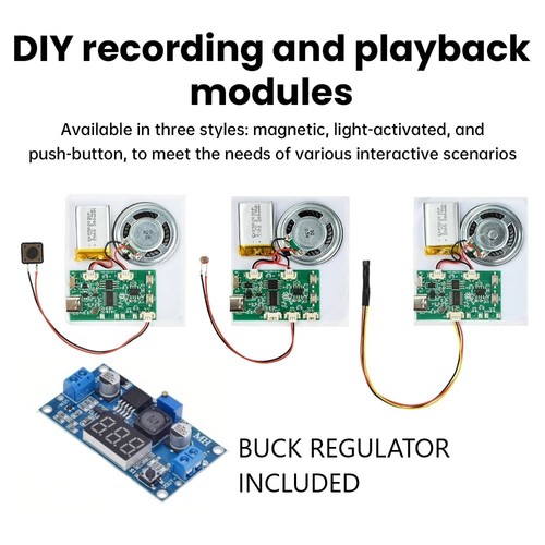 Sound effect module buck - module, &