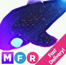 MFR Glormy Dolphin-  Adopt
