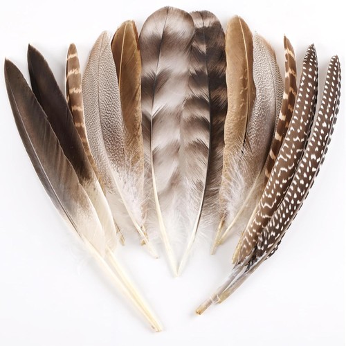 Natural pheasant feathers - natural,