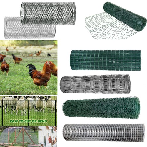 Rat mesh rodent - rat,