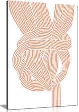 Knots No 2 Framed Canvas