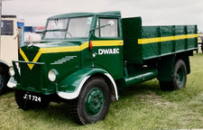 Leyland Lynx  - Colour