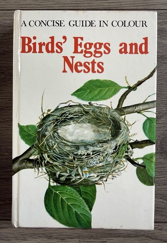Birds eggs and nests - birds',