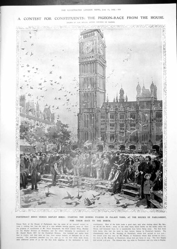 Old homing pigeon race houses - homing,