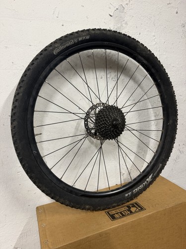 Inch rear back - inch,