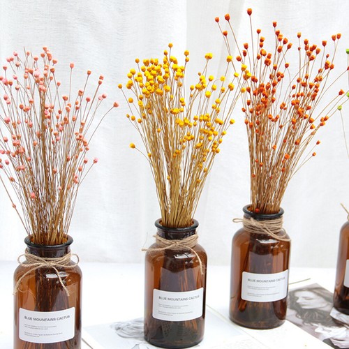 50x real happy flower - 50x, small