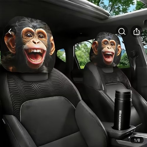 Novelty headrest covers - novelty,