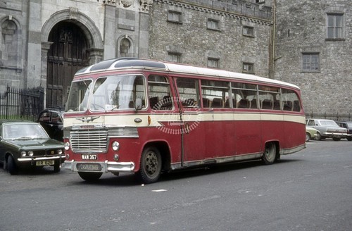 Photo buggy castlecomer - ,