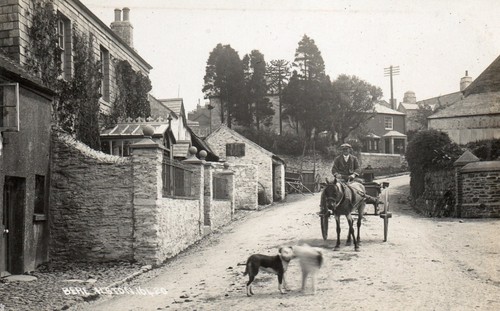 Early postcard horse - rp,