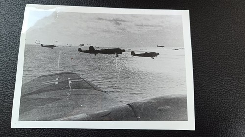 Ww2 german photo - ww2,