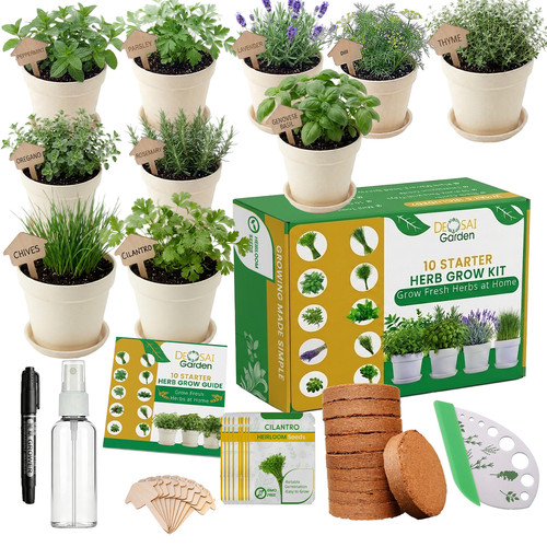 Herb window garden - window,