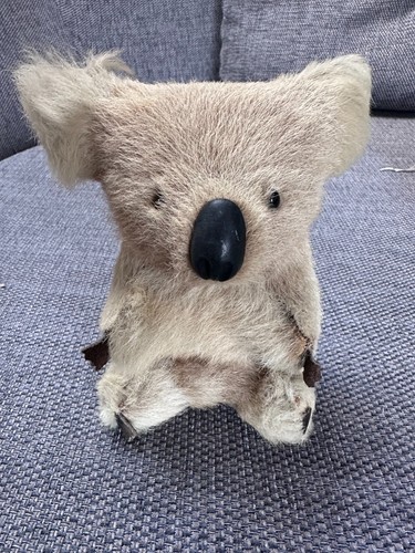 Vintage australian koala bear - vintage,