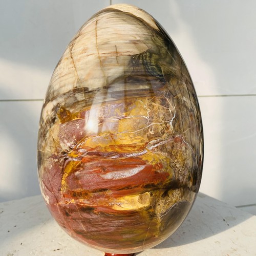 Natural petrified wood egg - wood,