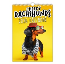 2026 Wall Calendar - Cheeky Dachshunds –  Animal / Pet / Dogs / Pooches