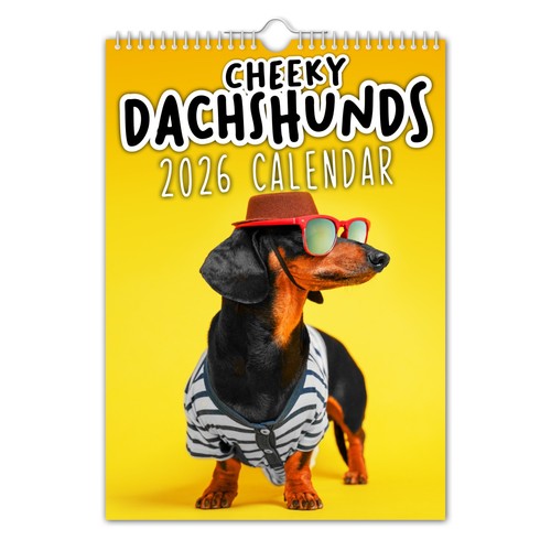 2026 wall calendar - 2026,