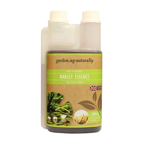 Barley straw extract pond - barley,