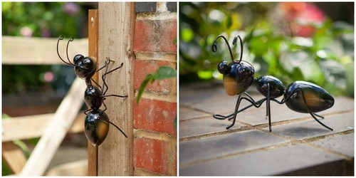 Ant garden ornament insect - ant,
