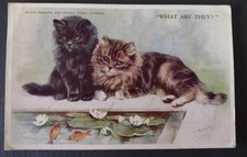 Mabel Gear Cat Postcard, Black Persian & Brown Tabby Kittens , Looking At Fish