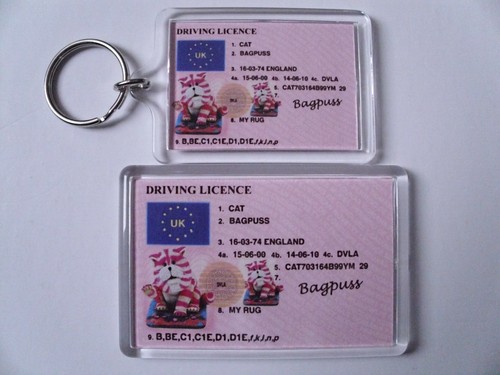 Bagpuss cat keyring fridge - cat,