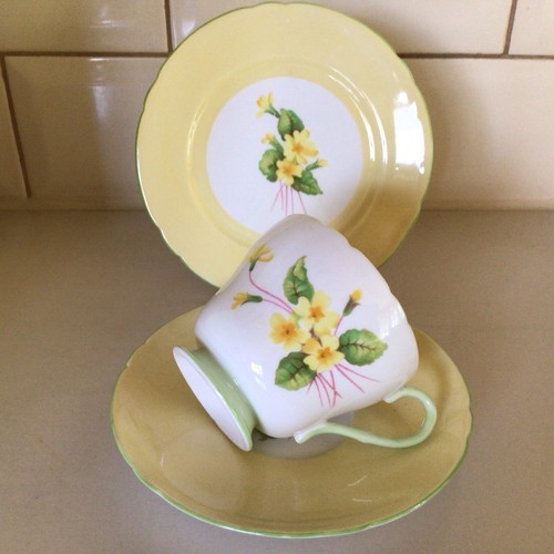Shelley china primrose - shelley,