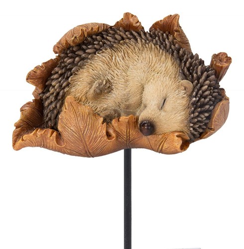 Vivid arts hedgehog - vivid, leaf