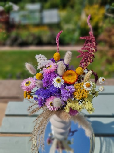 Colourful dried flower - colourful,