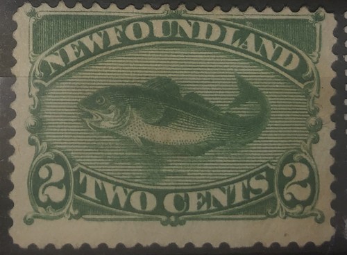 Newfoundland green codfish - green,