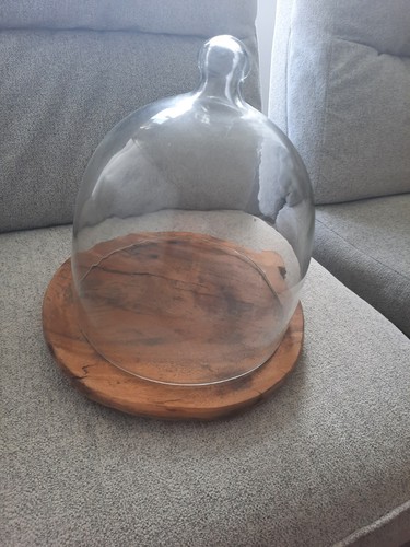 Glass cheese dome with wooden - glass,