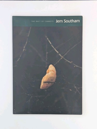 Jem southam the raft of - the,