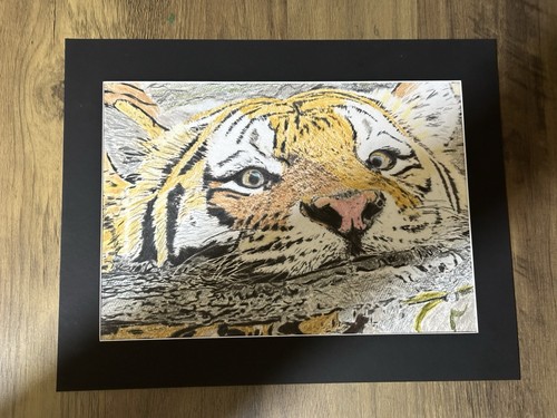 Mark leary wild life art - mark,
