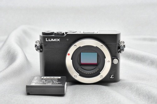 Mint panasonic lumix - mint], dmc