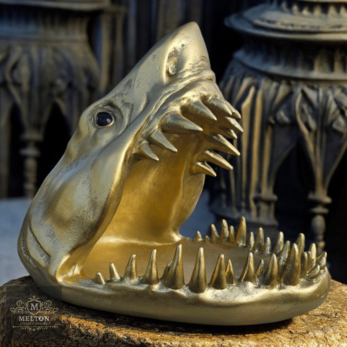 Golden tiger shark - tiger, head,