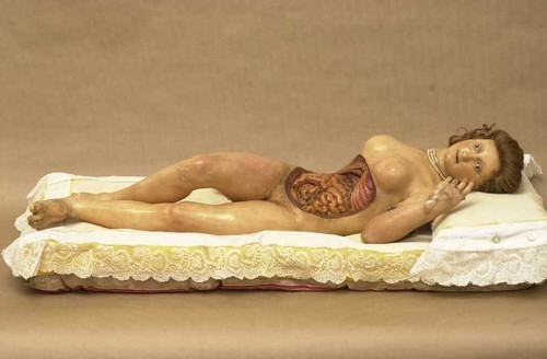 Antique medical anatomical - medical,