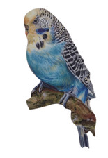 Blue Budgerigar Magnet - Blue