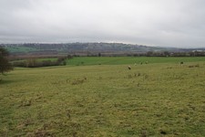 Photo 6x4 Grazing land below