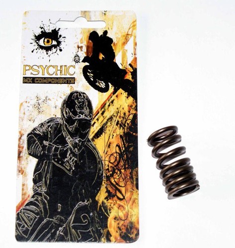 Psychic exhaust valve spring - exhaust,