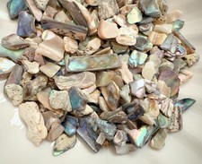 Natural paua abalone shell - natural,