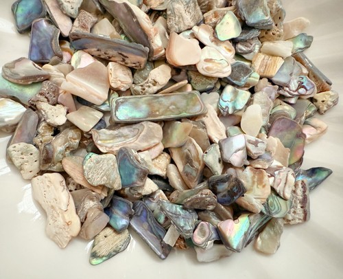 Natural paua abalone shell - natural,