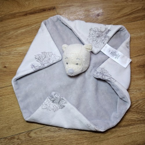 Winnie the pooh bear blanket - the,