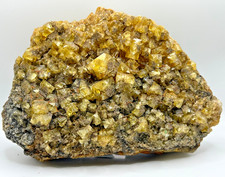 Large Museum Cabinet Display