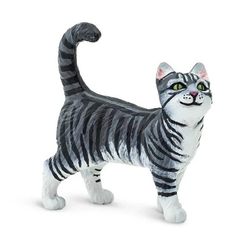 Cute gray tabby cat - cat, safari